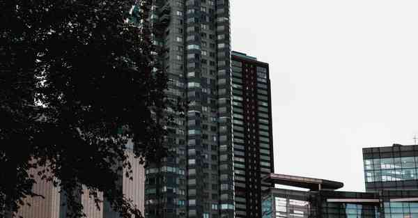 fq软件可以