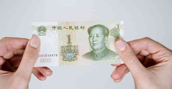老王加速器手机版